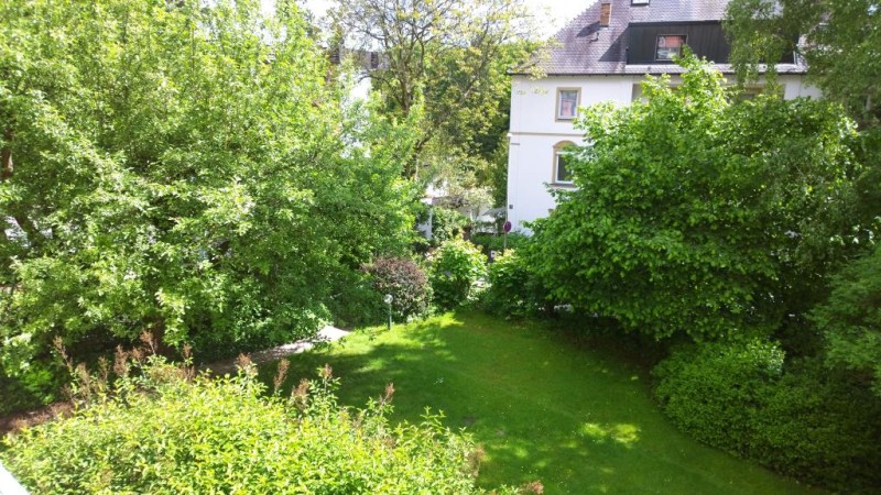 Blick in den Garten
