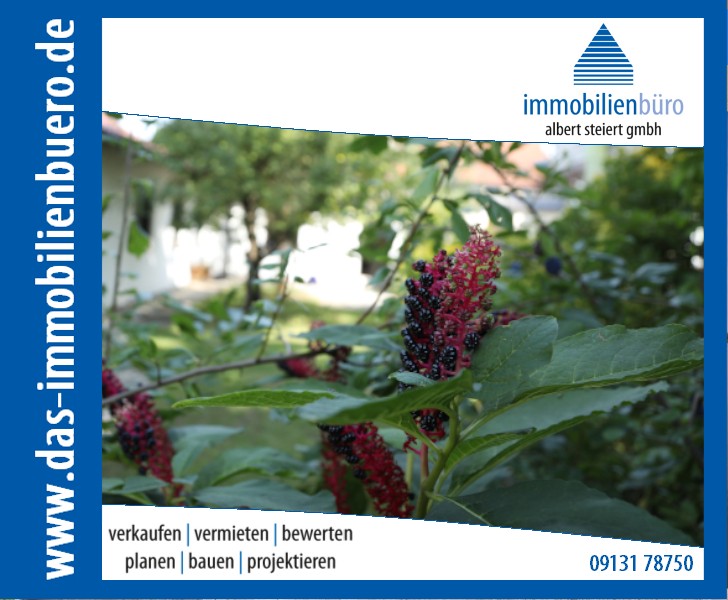 www.das-immobilienbuero.de